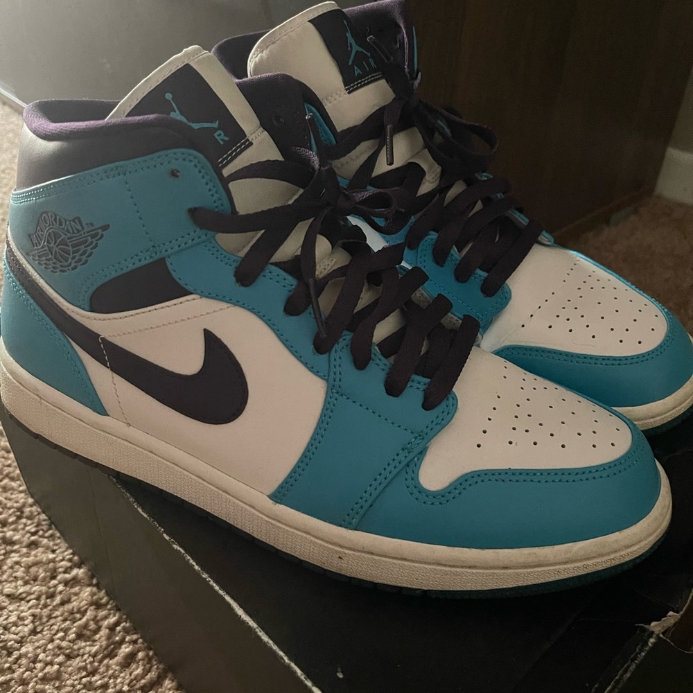 Jordan “ Hornet “ Mid 1s